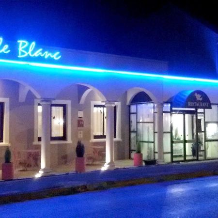Le Merle Blanc Hotel Logis Digoin Exteriér fotografie