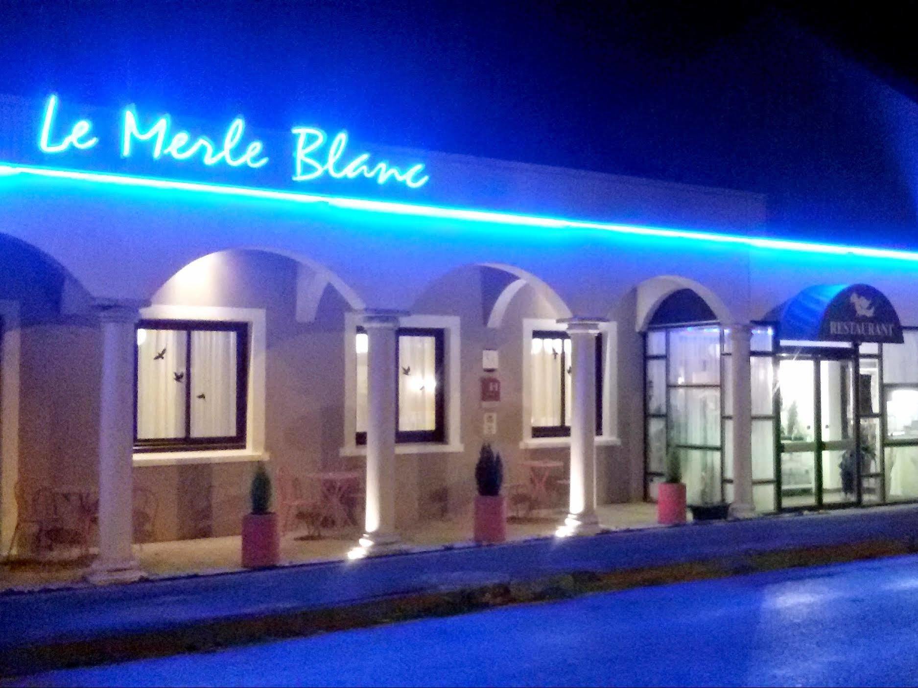 Le Merle Blanc Hotel Logis Digoin Exteriér fotografie