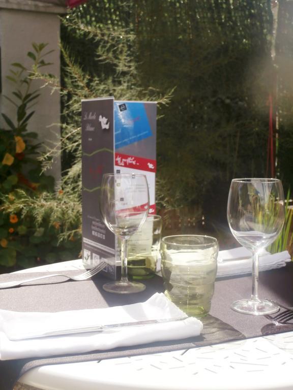 Le Merle Blanc Hotel Logis Digoin Exteriér fotografie
